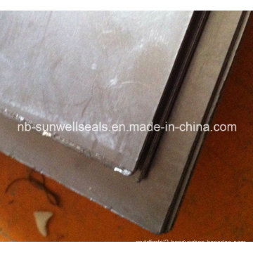 Graphite Sheet Reinforced with Tanged Metal, Ss304, 316L, CS (SUNWELL)